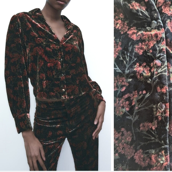 Zara Tops - Zara printed velvet floral Charlotte blouse puff sleeve fall